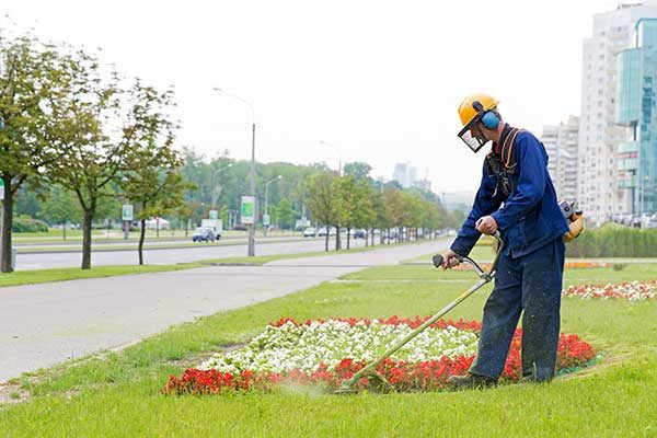 A person providing commercial lawn maintenance service for a facility's exterior.